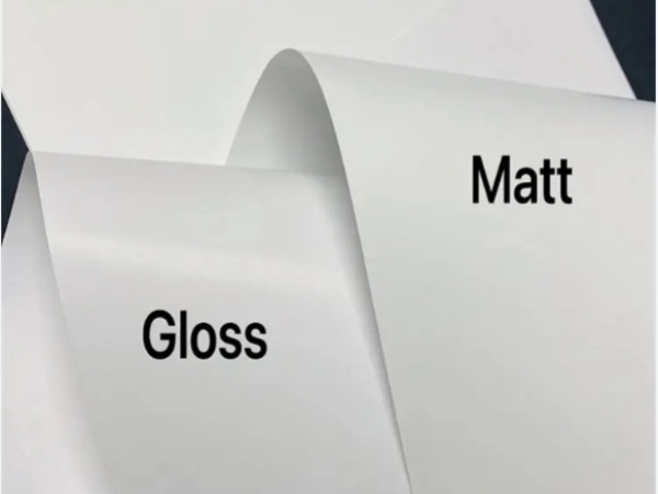 C2S Paper