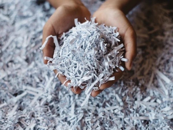 What Is The Difference Between Recycled Paper & Kraft Paper?
