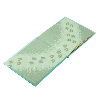 Children book printing