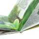 Children book printing