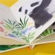 Children Board Book Printing